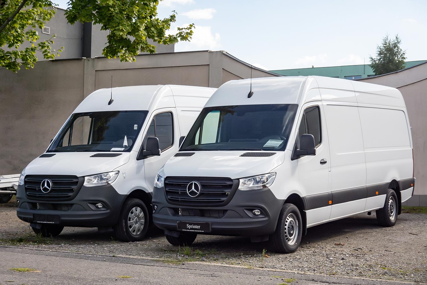 Camionnettes de société